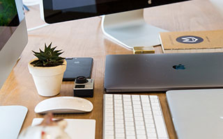 体育运动图解百科，探索运动的科学与艺术