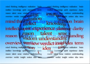 体育知识的广阔天地，从基础到专业