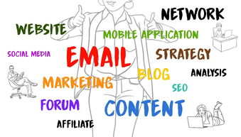 排球知识科普，从基础规则到战术运用