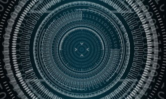 体育知识面面观，从基础理论到实践应用的全面解析